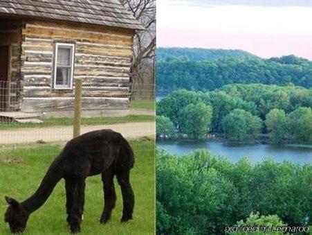 Galena Log Cabin Getaway 외부 사진
